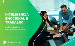 [Inteligência Emocional e Trabalho]