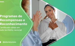 [Programas de Recompensas e Reconhecimento]